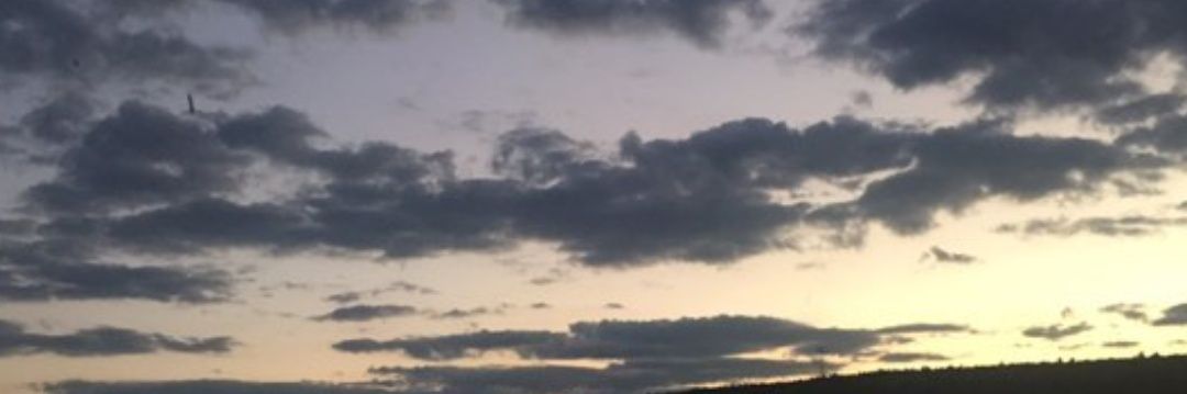 diilara07's profile banner image