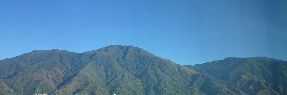 alimons's profile banner image
