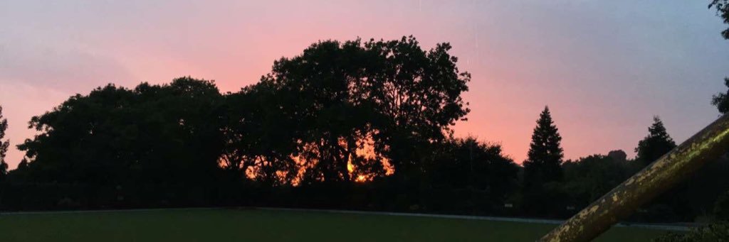 casey_leigh99's profile banner image