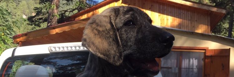 KubilayCihangr's profile banner image