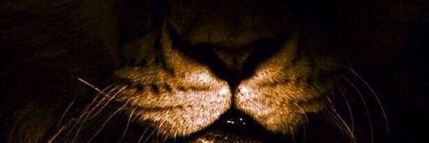 Andy73_93's profile banner image