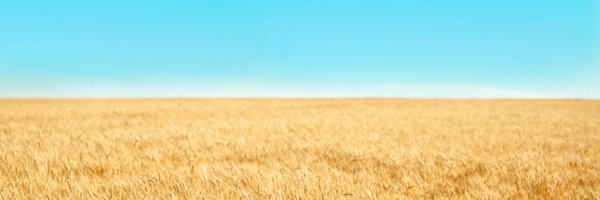 Navajoc0d3 Profile Banner