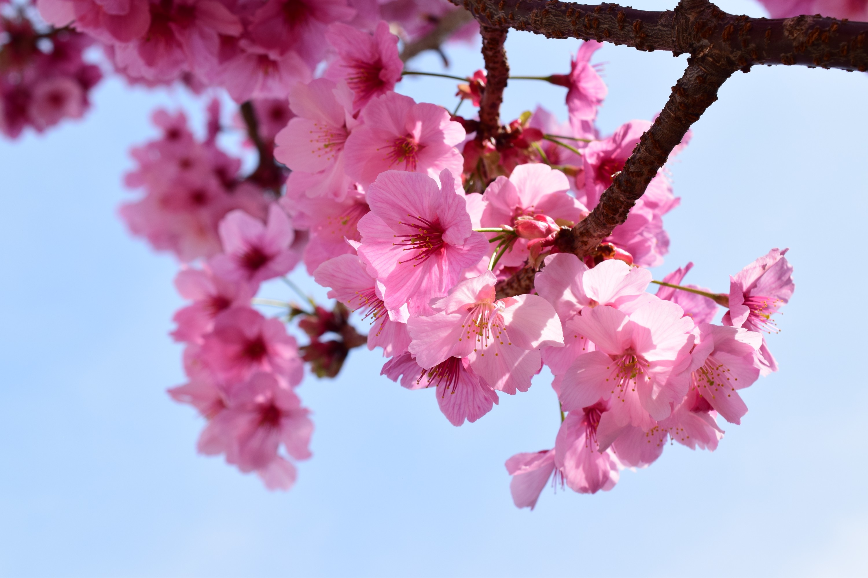 Otus_3329's profile banner image