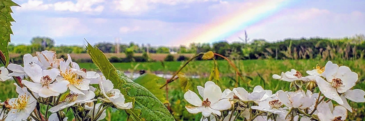 MsRavenDe's profile banner image