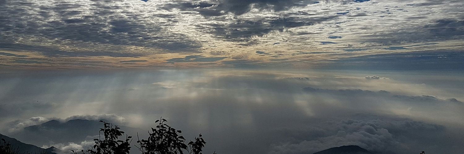 cancri1823's profile banner image