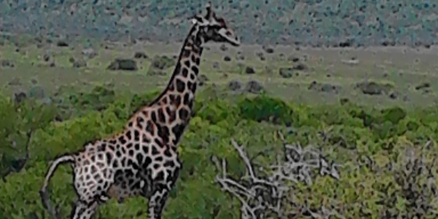 AnthonyRodney2's profile banner image