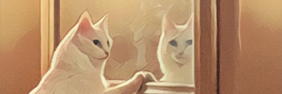 MrsDaftPrawn's profile banner image