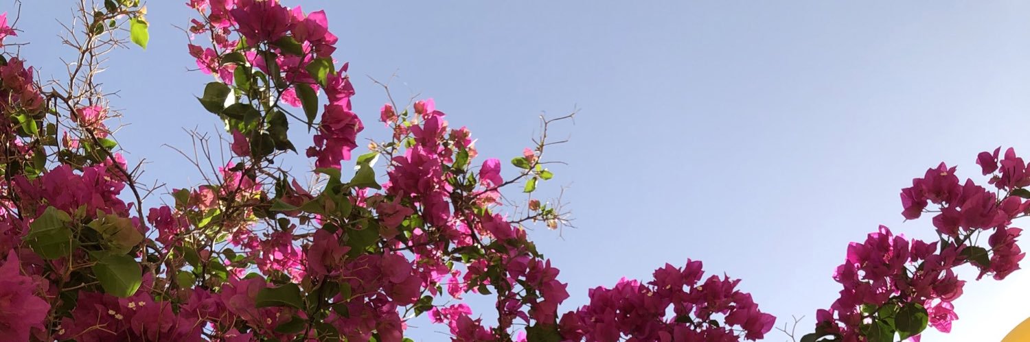 h_alhadab's profile banner image