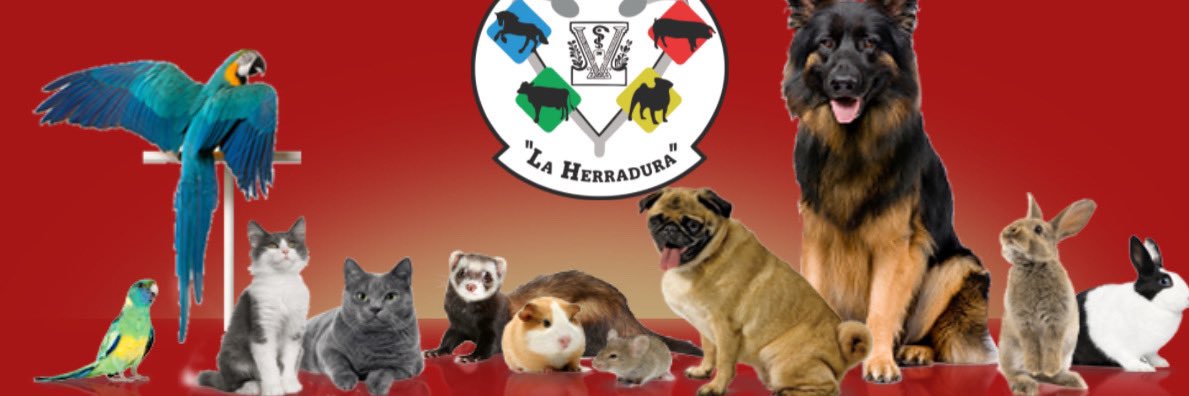 vondomm's profile banner image