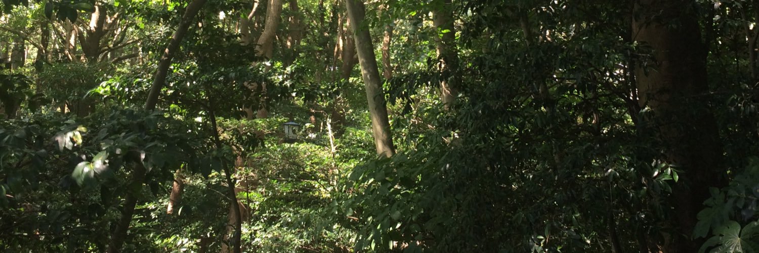 masamicheee's profile banner image