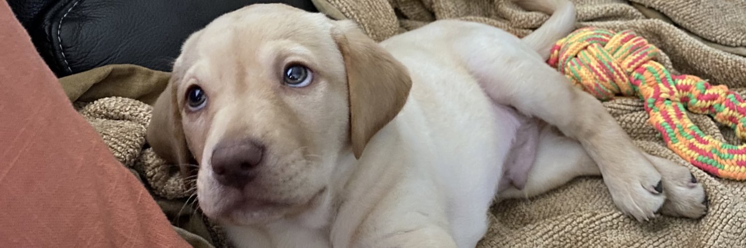 MP (Cali girl) 💙 🌊💙🌊💙 banner