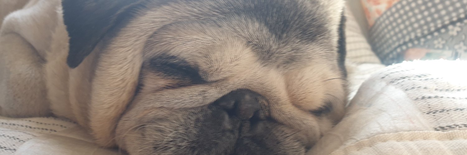OttoMilky's profile banner image