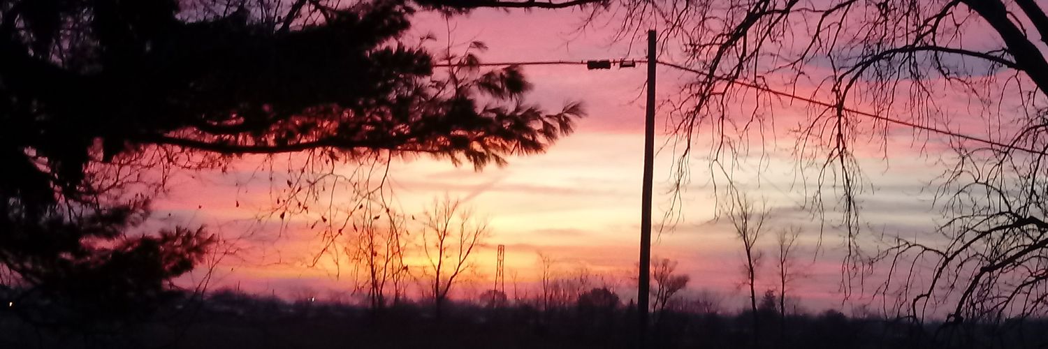ladimona's profile banner image