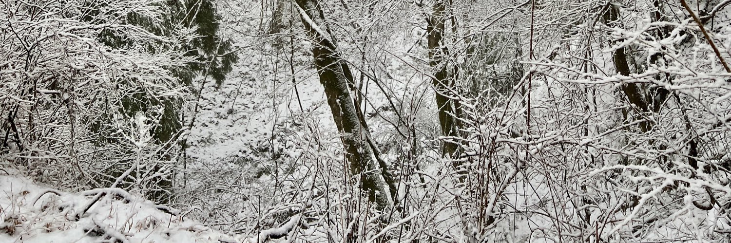 Normandkm's profile banner image