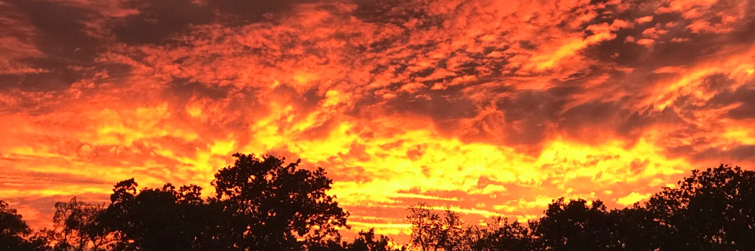 Blue Feet and Beer banner