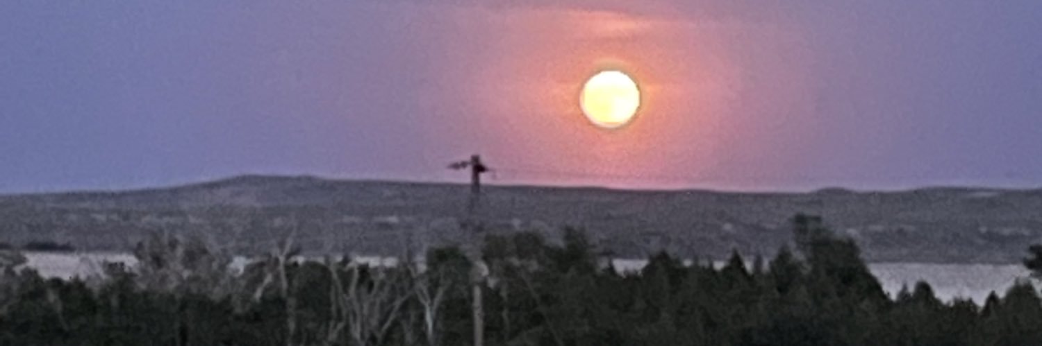 theVanKitt's profile banner image