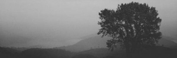 somemattyelse's profile banner image