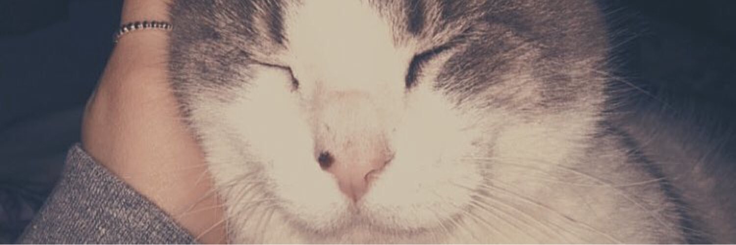 MarleyLynnnn's profile banner image