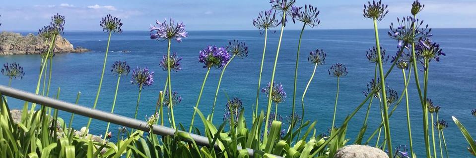 Sue Child #FBPE banner