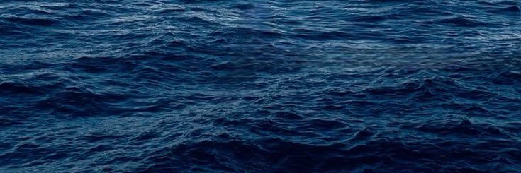 naclesk's profile banner image