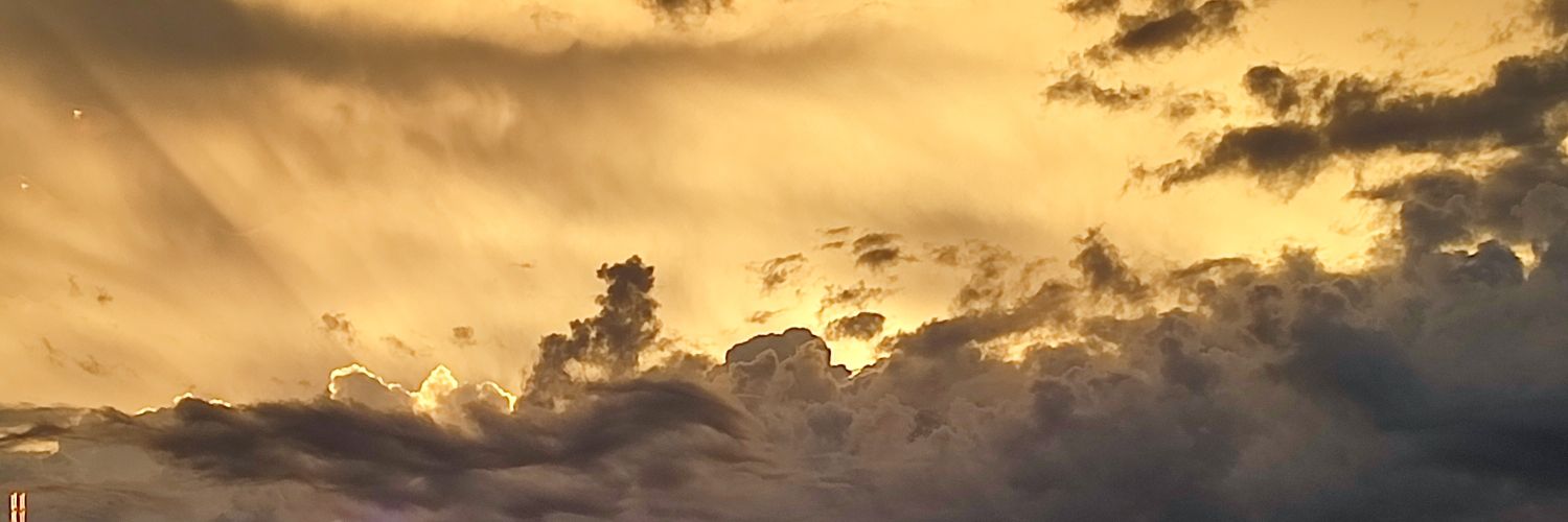 reyes_1831's profile banner image