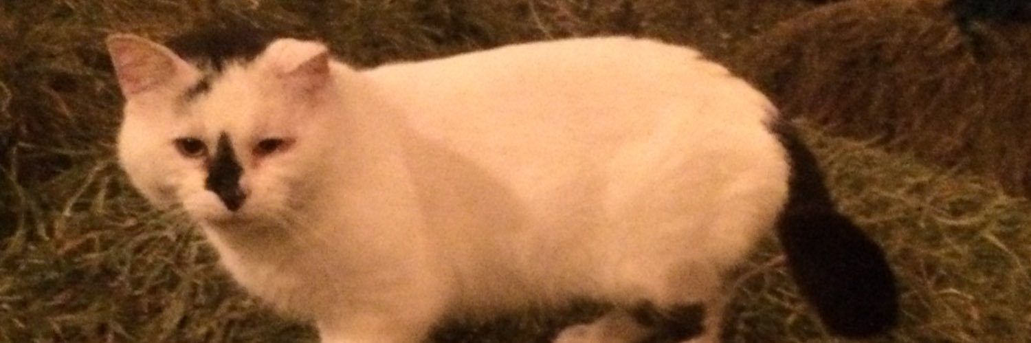 getrdun2's profile banner image
