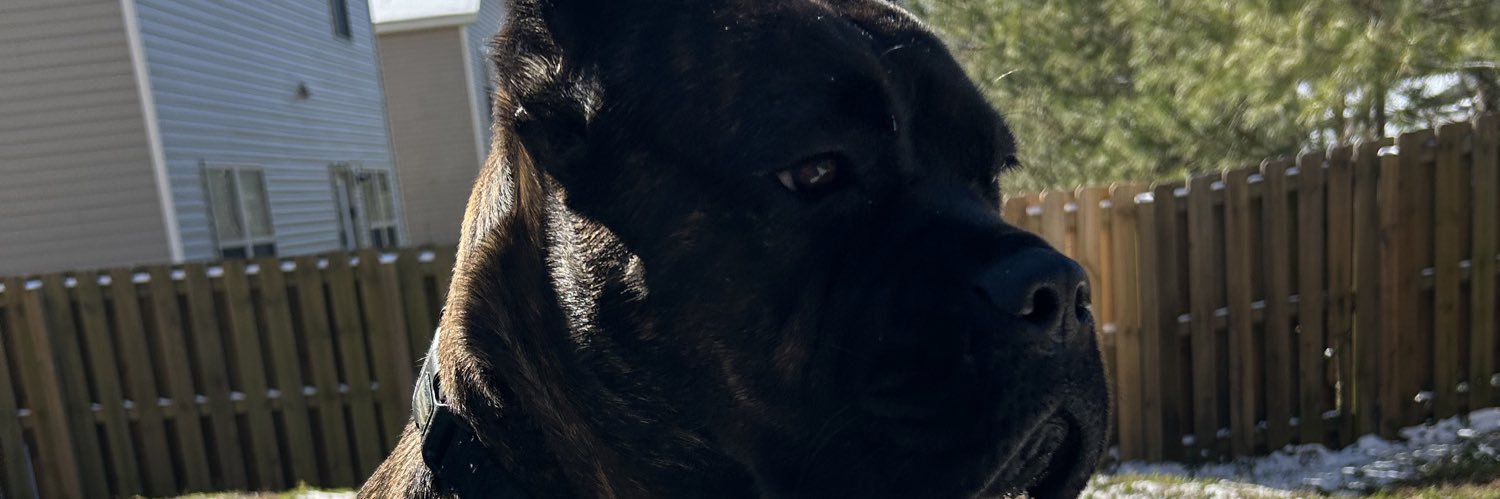 shelbyyjackson's profile banner image