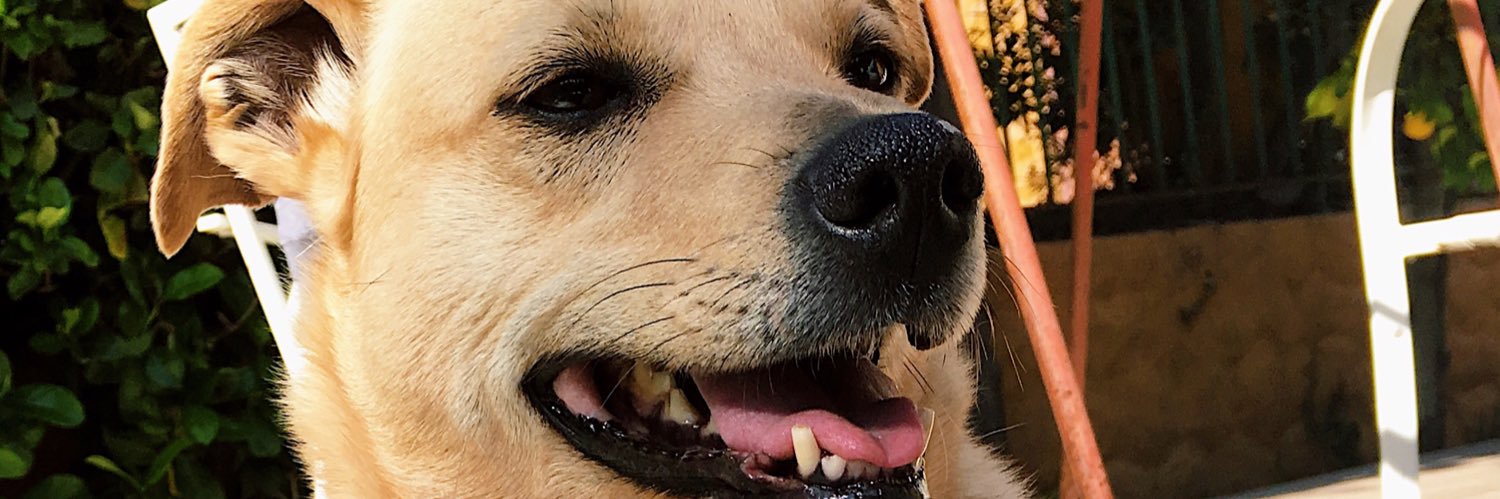 ceciewertzc's profile banner image