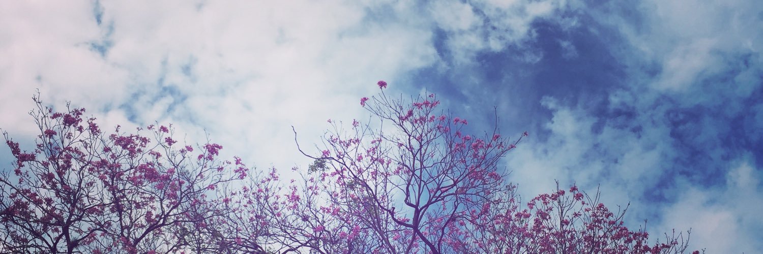 MarileUnger's profile banner image