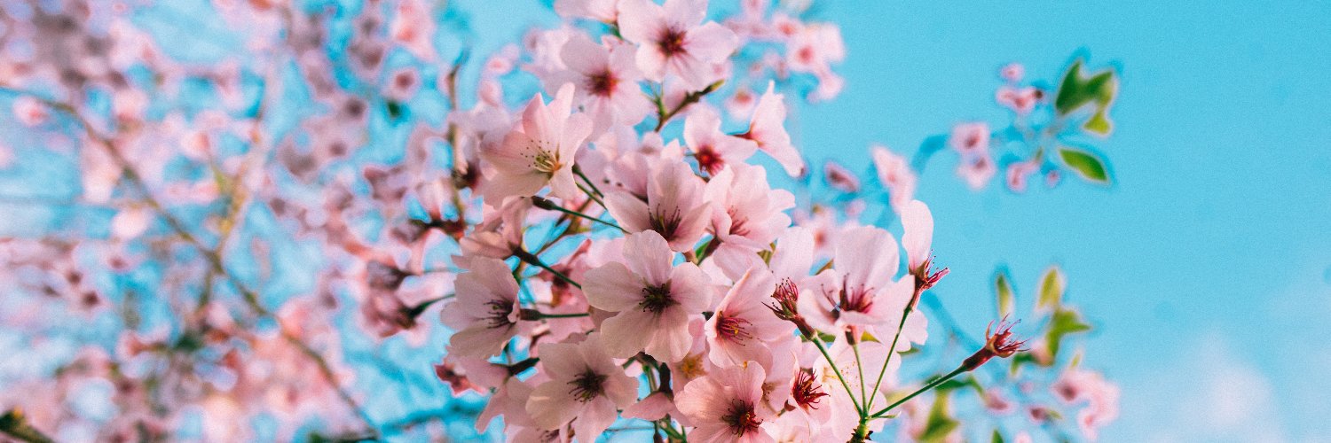 Anj 💜 banner