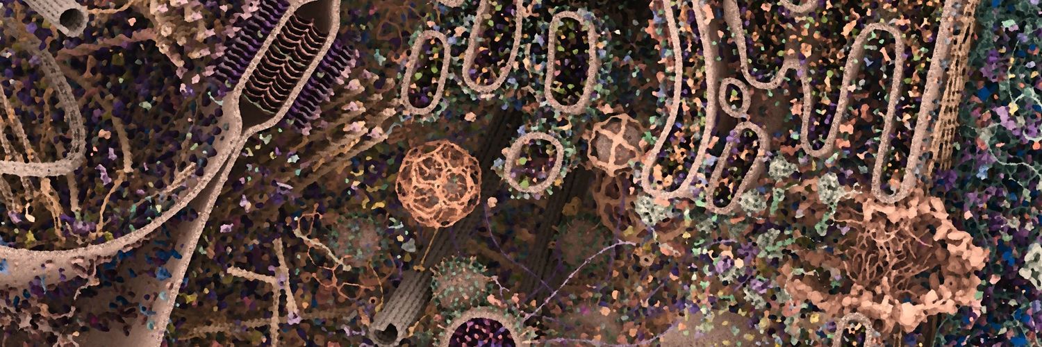 _trespaul's profile banner image