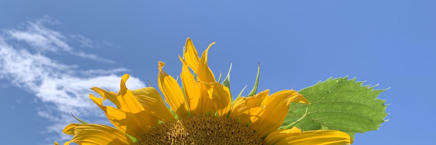 Aggie0508's profile banner image