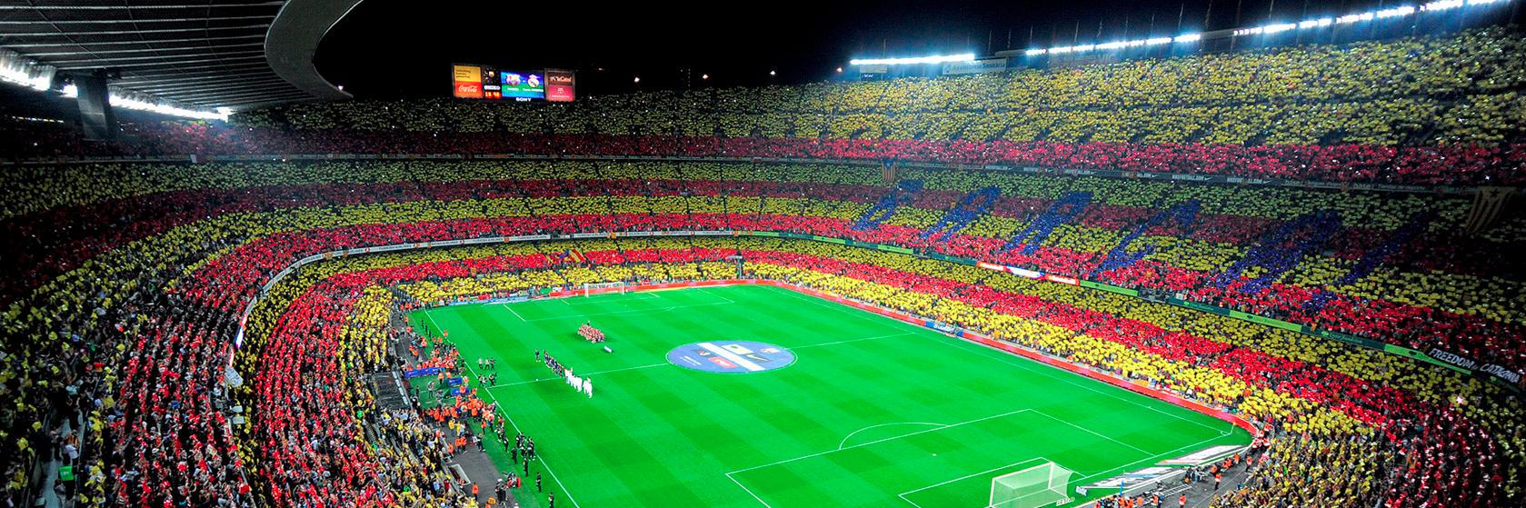 buiiiii banner