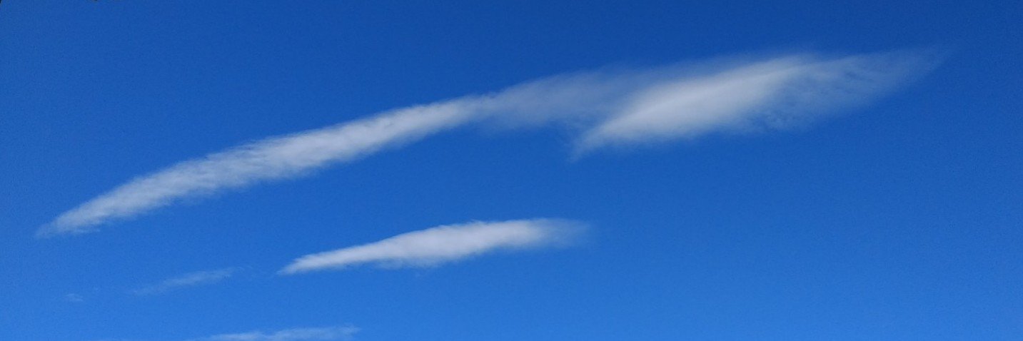 Logarth_Curator's profile banner image