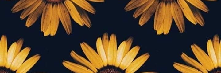 millionthoughtt's profile banner image