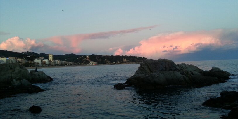 marc_rib's profile banner image