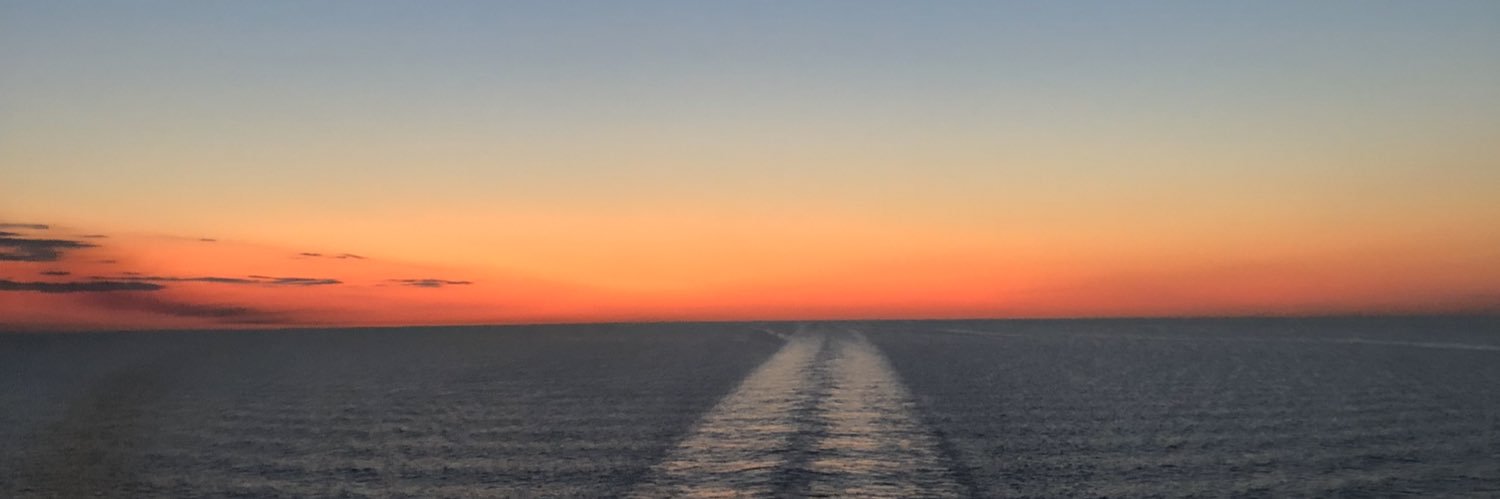 SofiaCastleford's profile banner image
