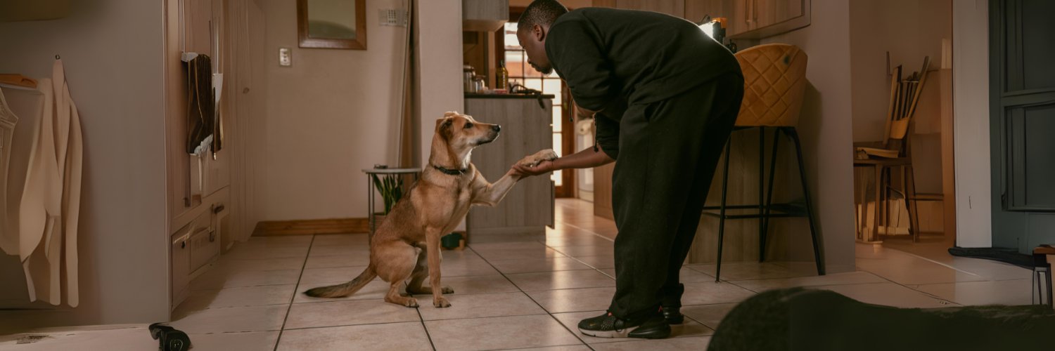 African Tails banner