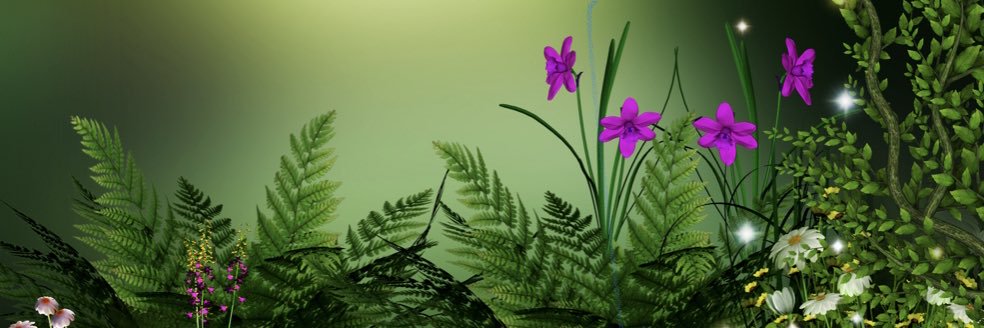 esperanzaisea's profile banner image