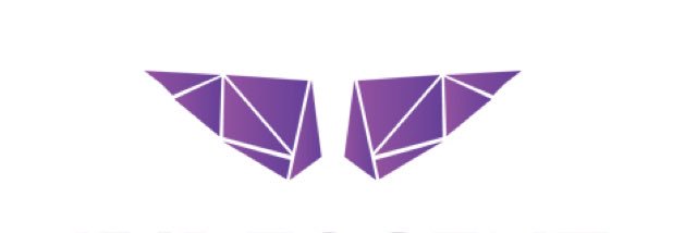 Fis-T banner
