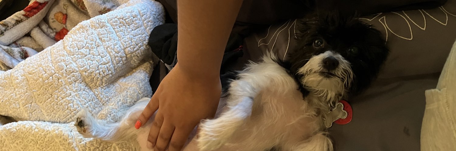 OfficialMakay's profile banner image