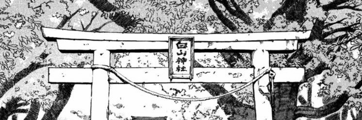 __bxz__'s profile banner image