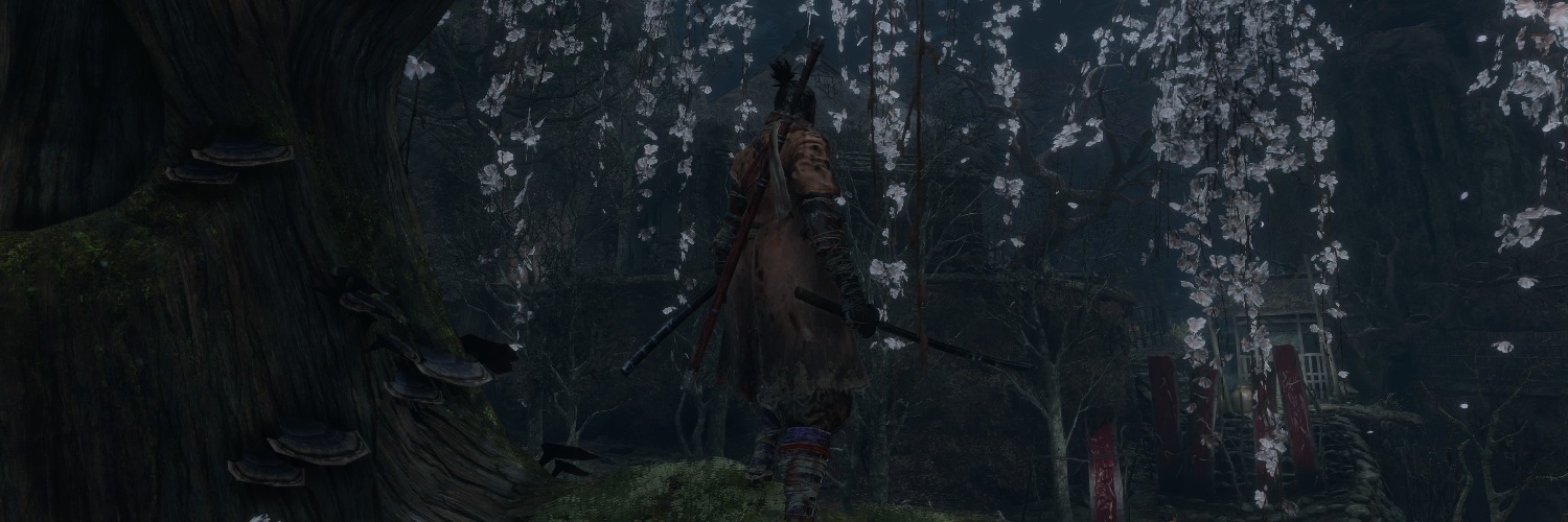 foxintheforest's profile banner image