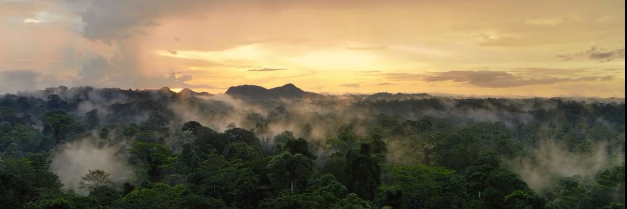 𝕤𝕠𝕟 𝕠𝕗 𝕤𝕝𝕚𝕞 banner