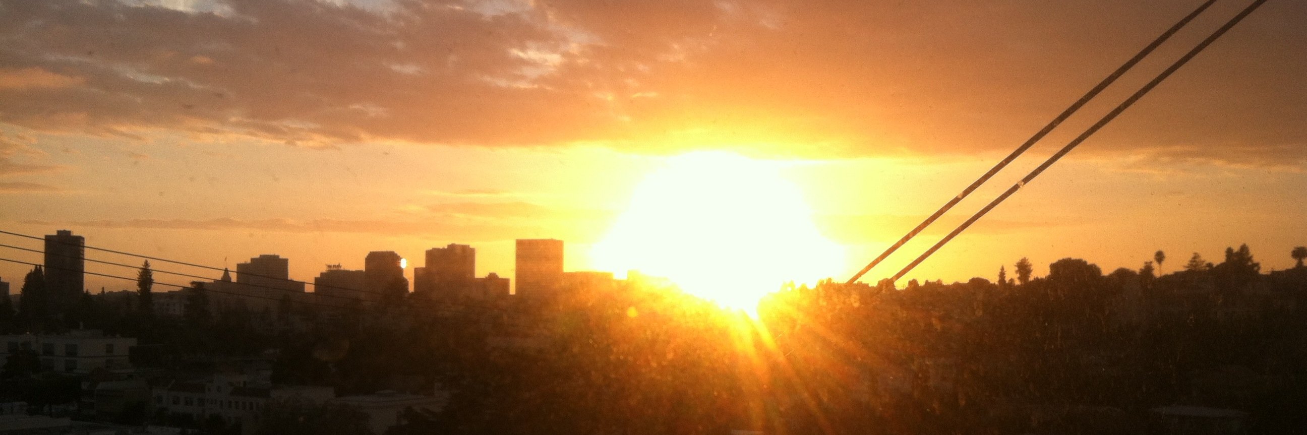 Renee Willette banner