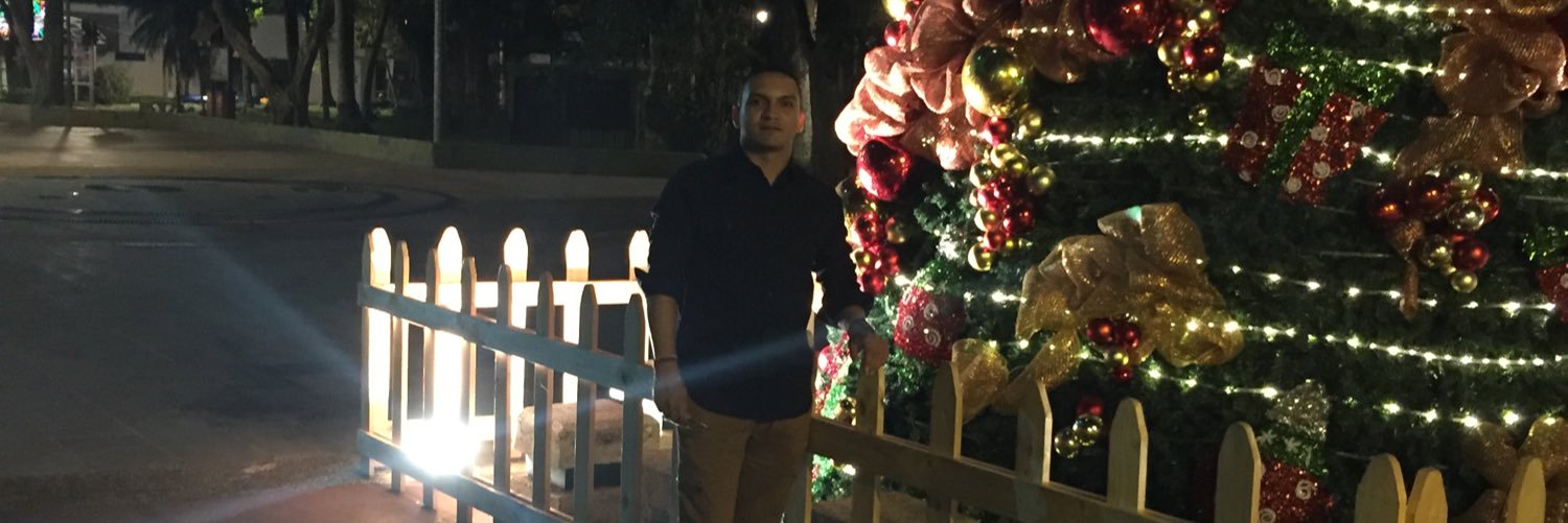 ervingallego's profile banner image
