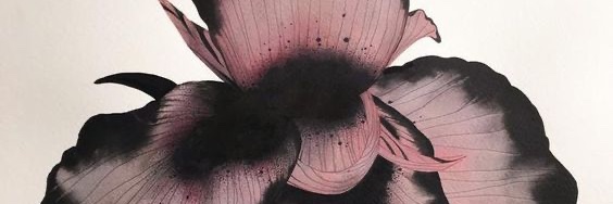 anna_beneke's profile banner image