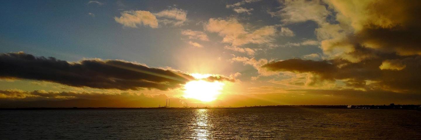 Casey Mc Quillan banner