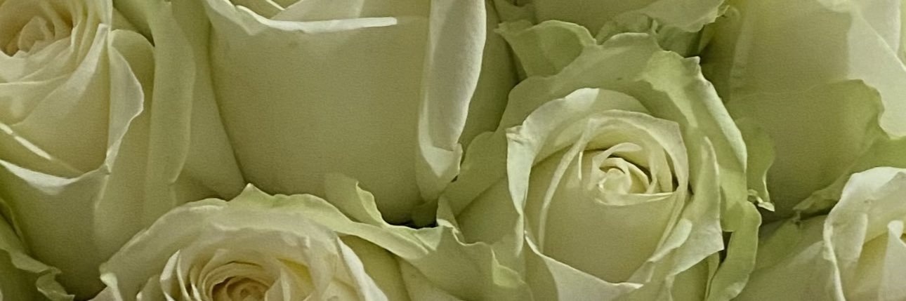 Ref3540's profile banner image