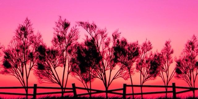 kitty_x5's profile banner image